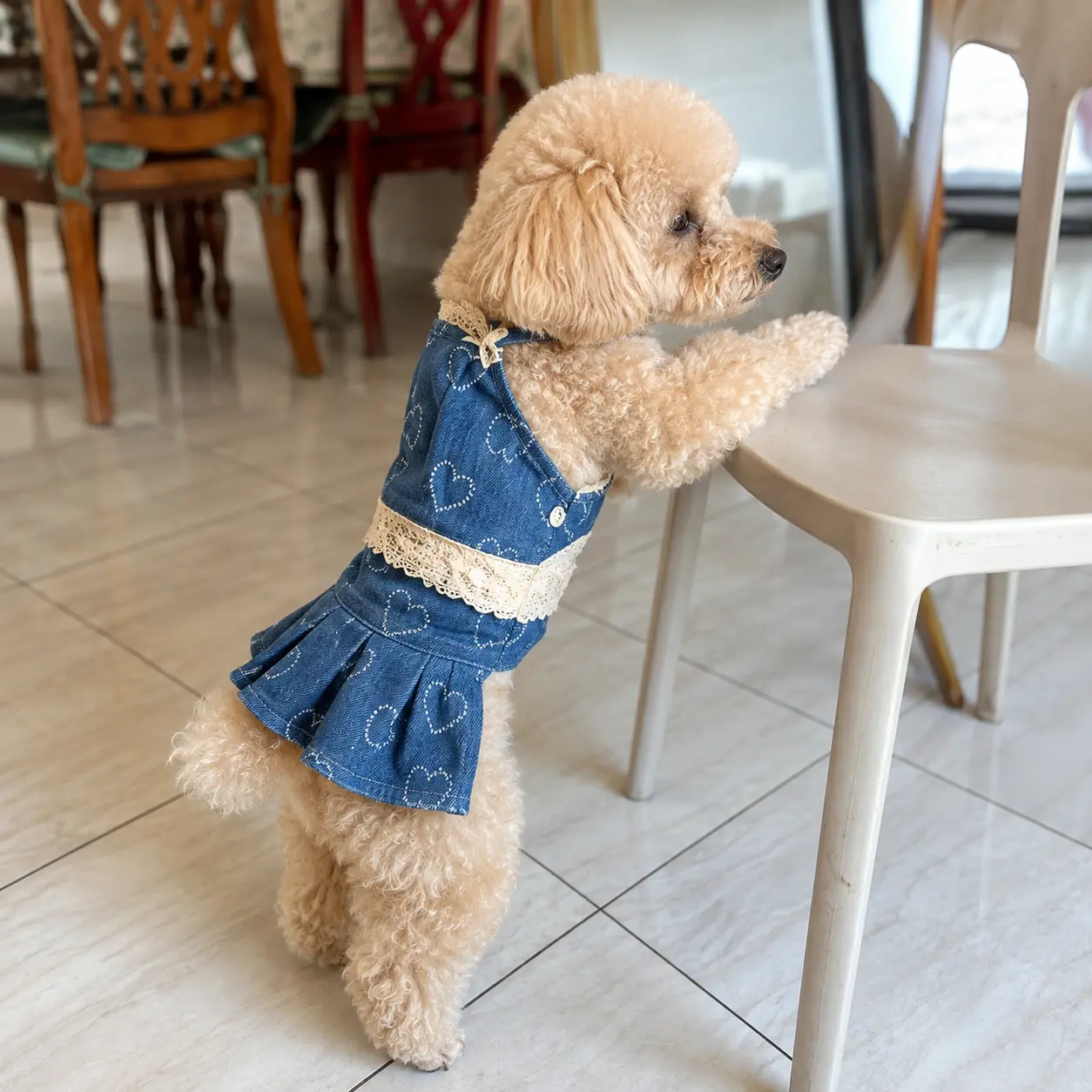 PetStyle pattern preview
