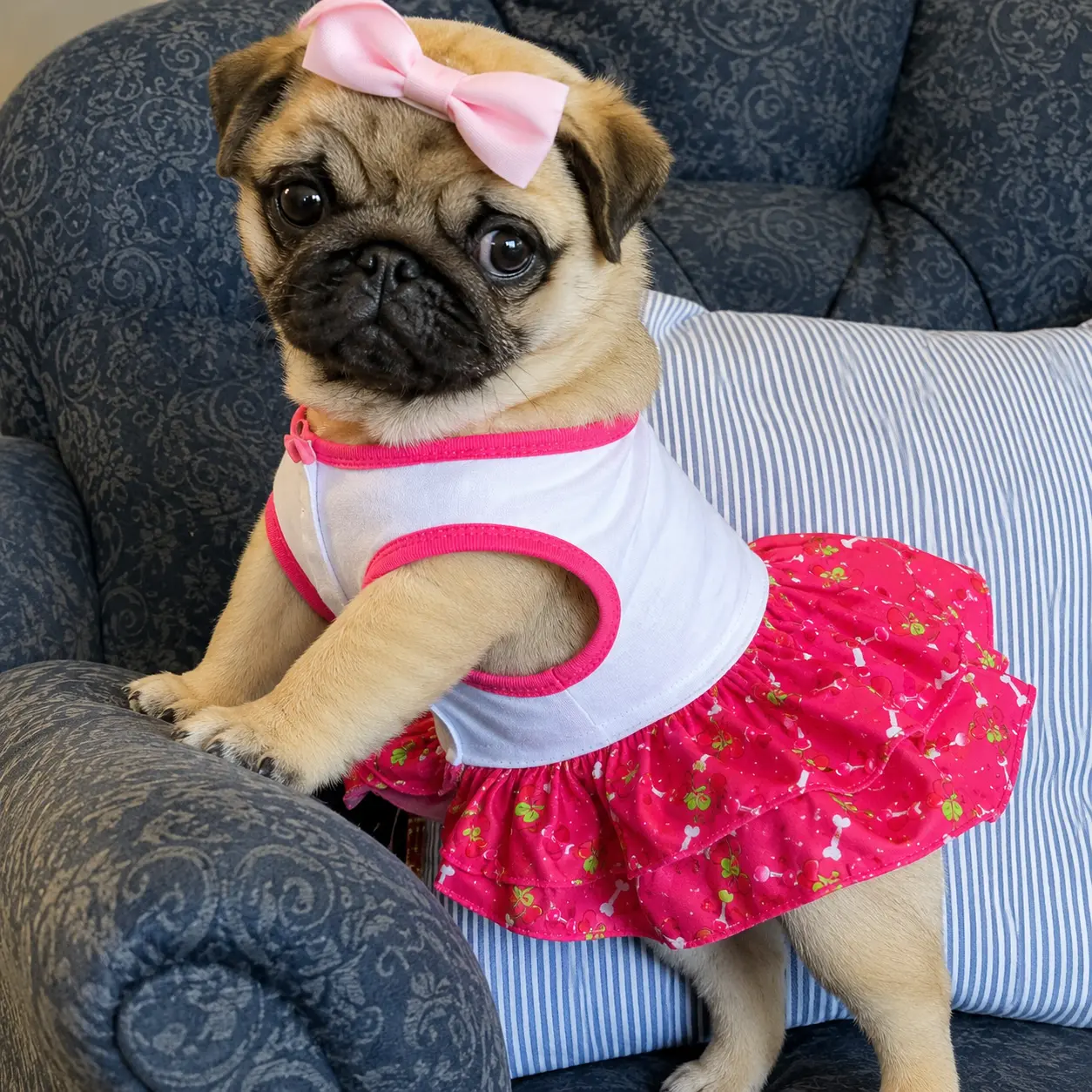 PetStyle pattern preview